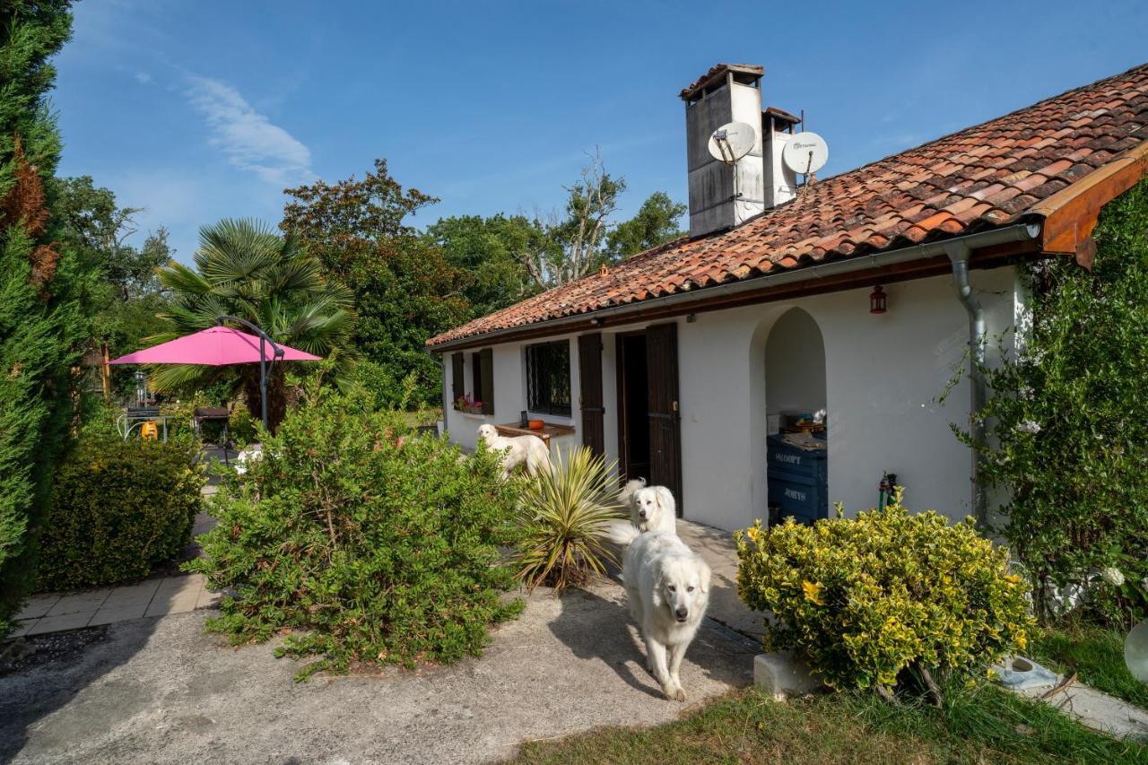 Bed and Breakfast La Grande Jaougue à Callen Extérieur photo