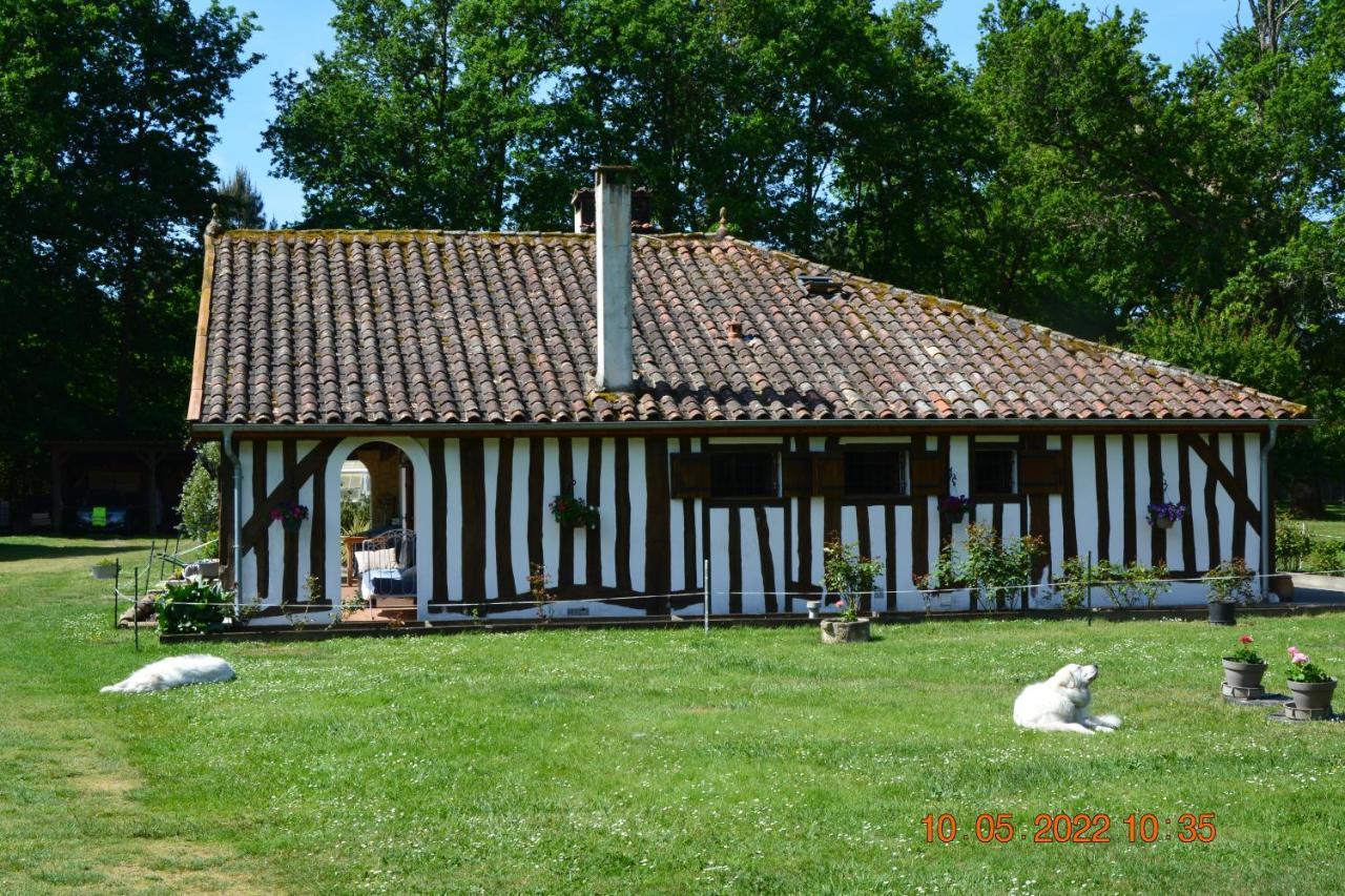 Bed and Breakfast La Grande Jaougue à Callen Extérieur photo